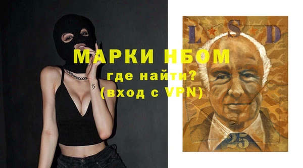 PSILOCYBIN Лабытнанги