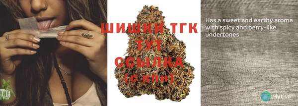 PSILOCYBIN Лабытнанги