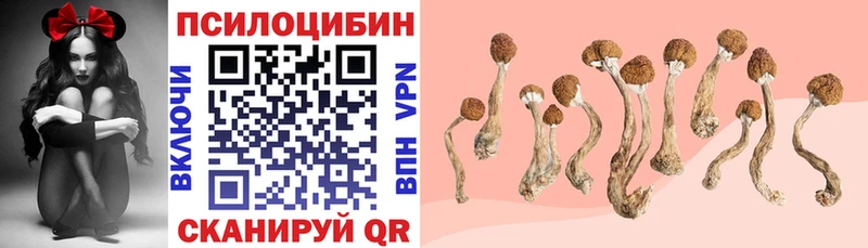 Псилоцибиновые грибы Psilocybe  Берёзовский 